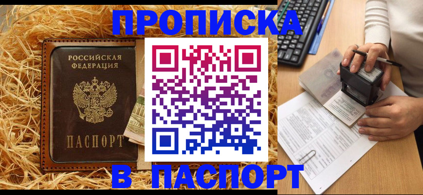 прописка поиск в Ногинске